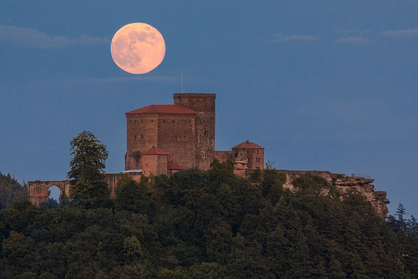 Vollmond über dem Trifels
