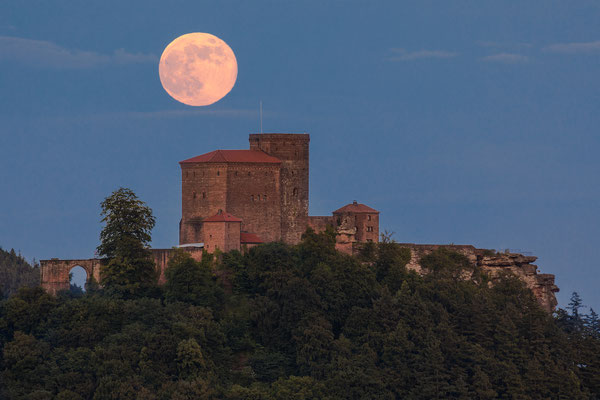 Vollmond über dem Trifels