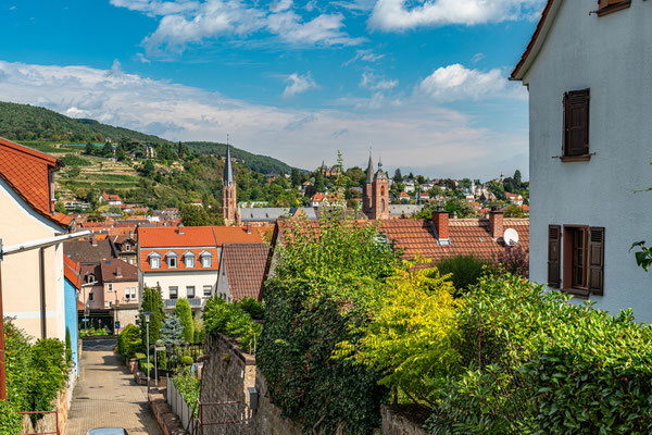 Stadtpanorama von Neustadt