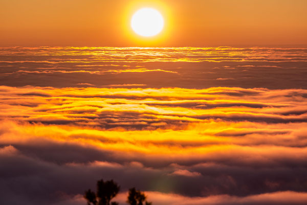 Winterlicher Sonnenaufgang am Rehbergturm