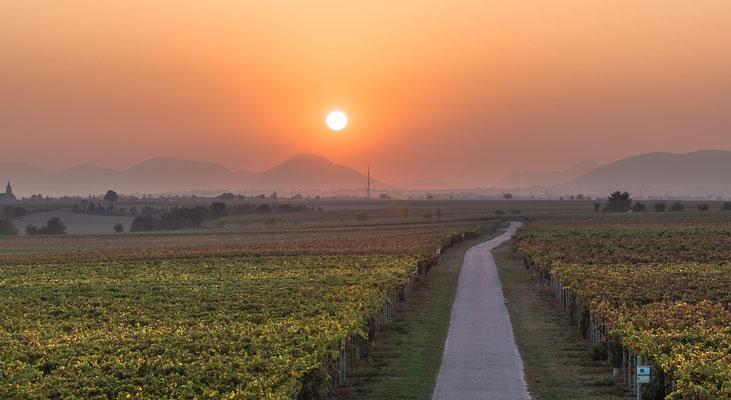 Sonnenuntergang bei Hochstadt