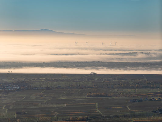 Nebelmorgen auf der Rietburg