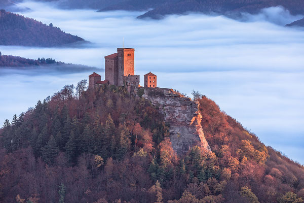 Burg Trifels über dem Herbstnebel