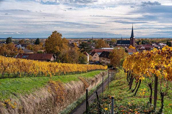 Herbststimmung in Deidesheim