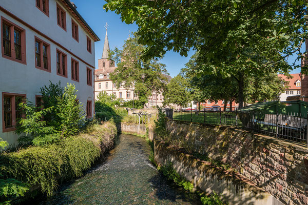 Am Neustadter Speyerbach