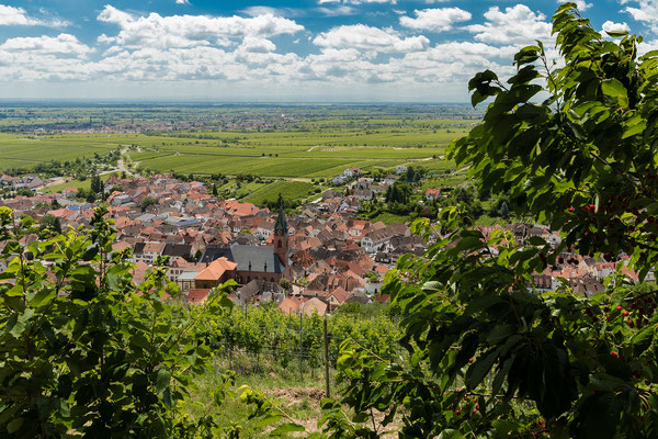 Ausblick auf Sankt Martin