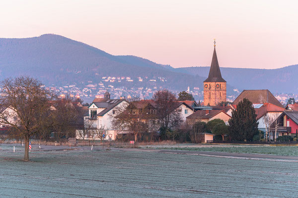 Wintermorgen bei Lachen-Speyerdorf