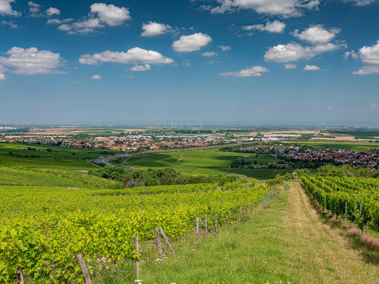 Ausblicke auf Grünstadt