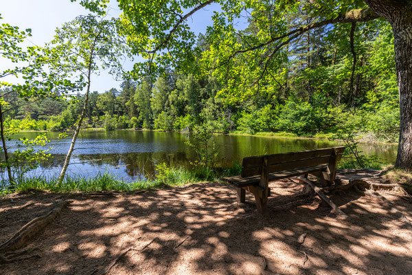 Rösselweiher bei Fischbach