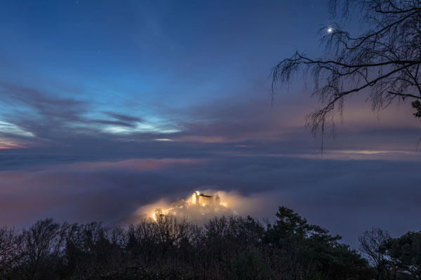 Morgennebel umspült das Hambacher Schloss