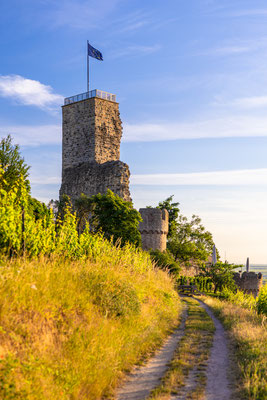 Sonnenaufgang an der Wachtenburg