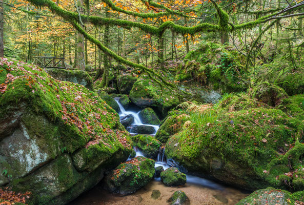 Gertelbachschlucht