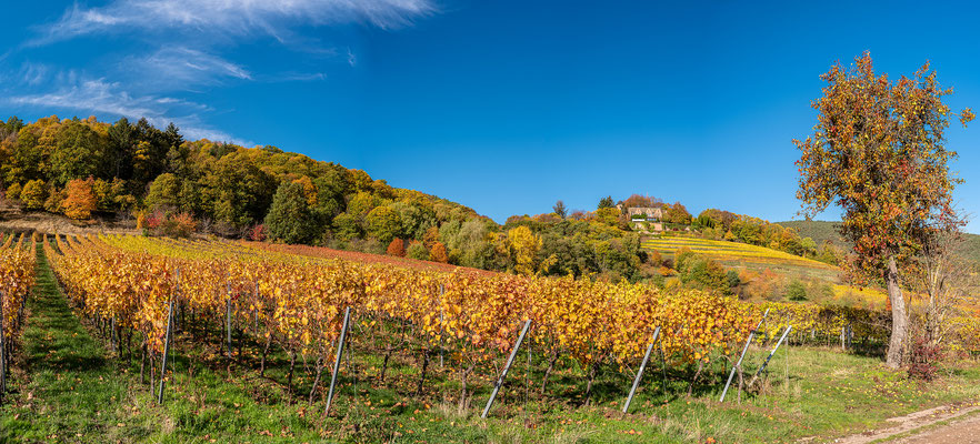 Goldener Herbst bei Sankt Martin