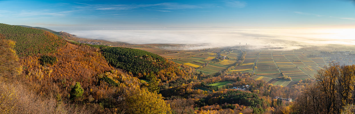 Nebelmorgen auf der Rietburg