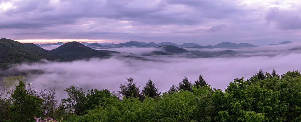 Nebelmorgen auf der Burgruine Lindelbrunn