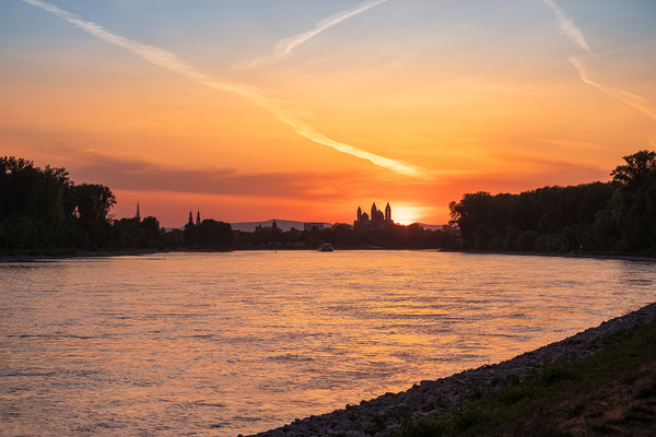 Sonnenuntergang hinter dem Speyerer Dom