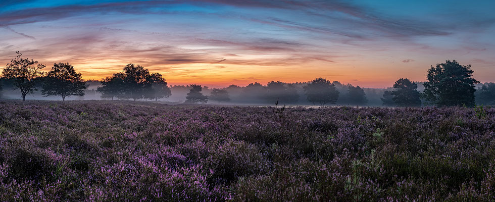 Toller Morgen in der Mehlinger Heide
