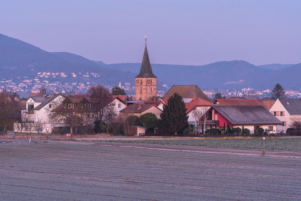 Wintermorgen bei Lachen-Speyerdorf
