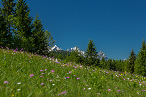 Geroldsee