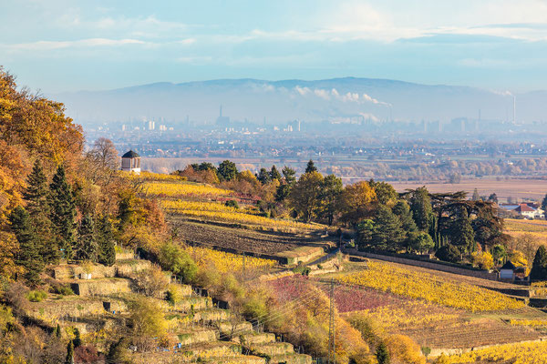 Fernblicke über Neustadt