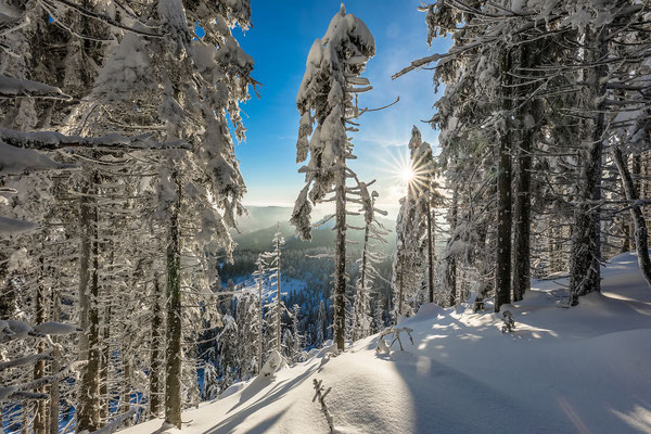 Wintermorgen an der Hornisgrinde