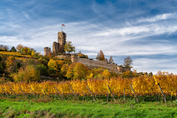 Herbstliche Wachtenburg