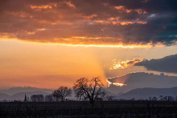 Sonnenuntergang hinter dem Trifels