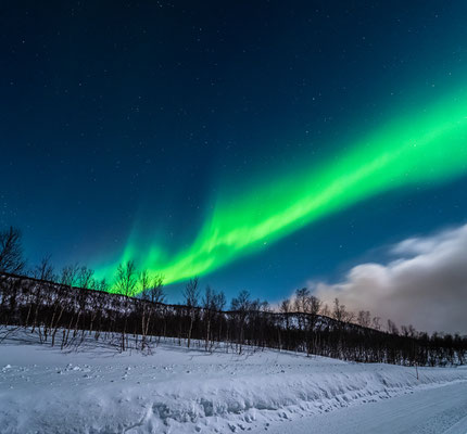 Polarlichter auf der Insel Senja