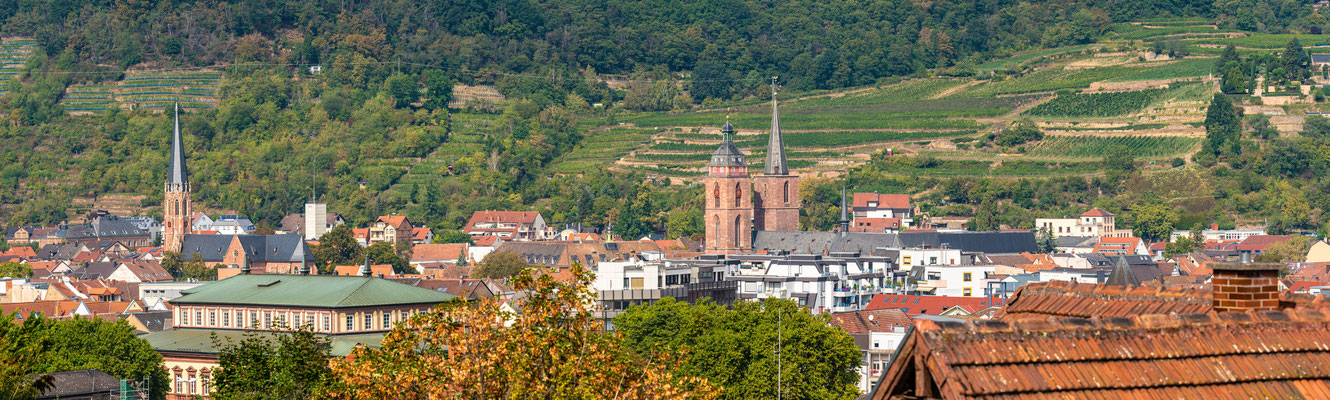 Stadtpanorama von Neustadt