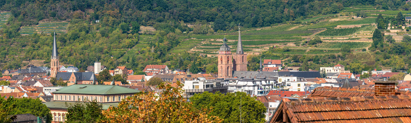 Stadtpanorama von Neustadt