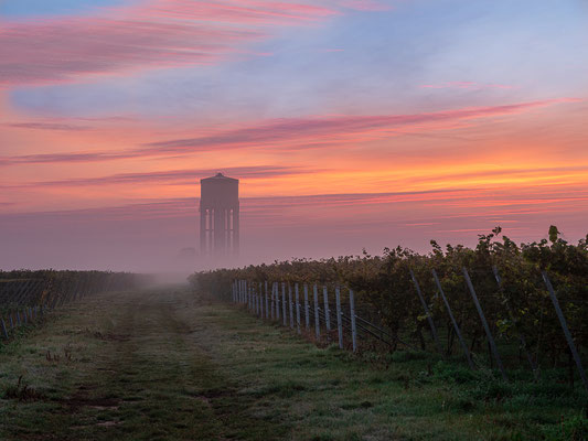 Sonnenaufgang bei Duttweiler