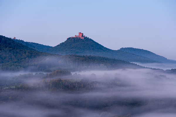 Blick zum Trifels an einem Nebelmorgen