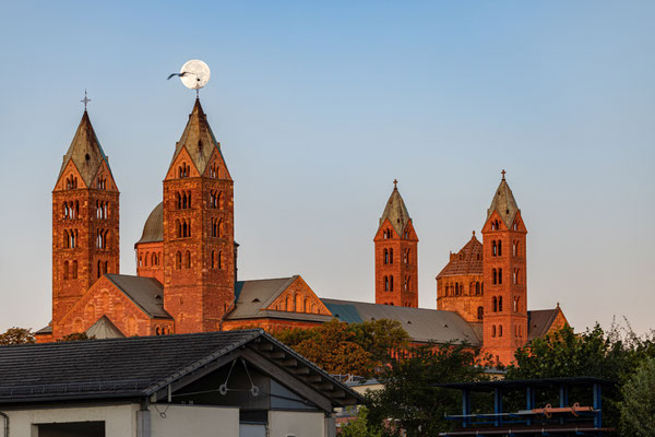 Vollmonduntergang am Speyerer Dom