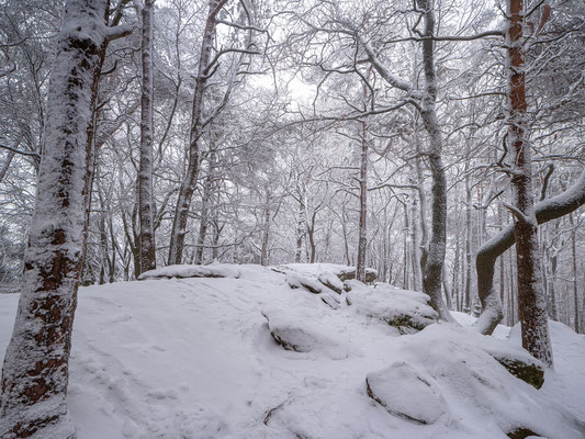 Winter auf der Kalmit