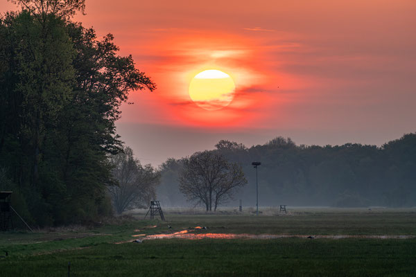 Sonnenaufgang in den Queichwiesen bei Offenbach