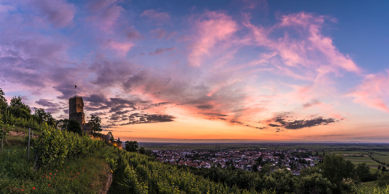 Morgendämmerung auf der Wachtenburg