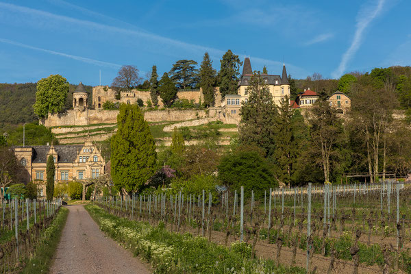 Blick auf Haardt und Haardter Schlössel