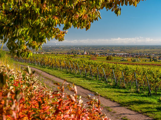 Herbstliche Landschaften bei Sankt Martin