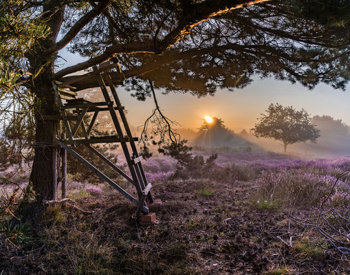 Sonnenaufgang in der Mehlinger Heide