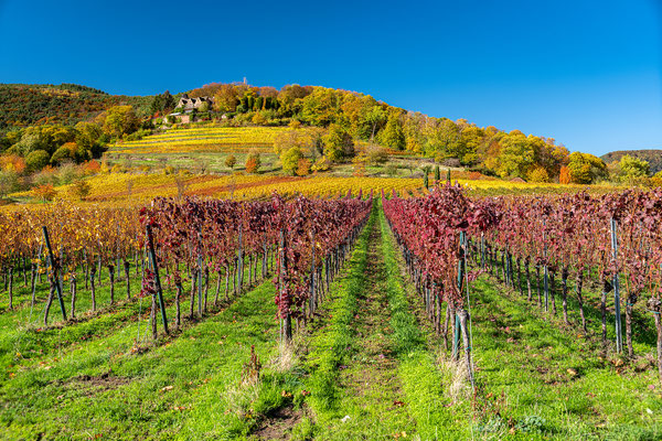 Goldener Herbst bei Sankt Martin