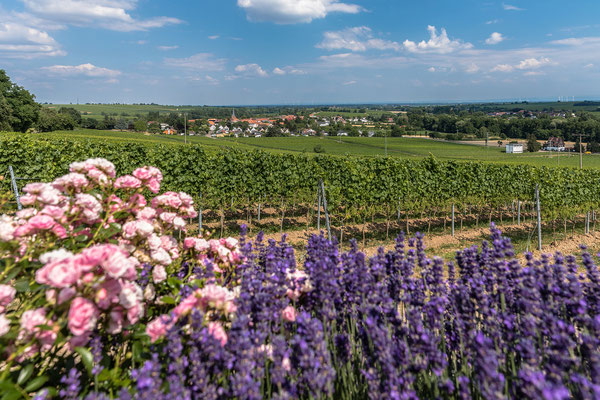 Ausblick auf Heuchelheim