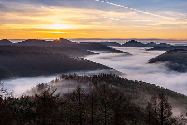 Morgennebel am Kirschfelsen