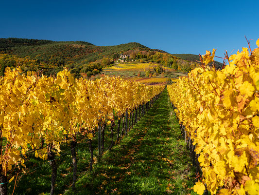 Goldener Herbst bei Sankt Martin