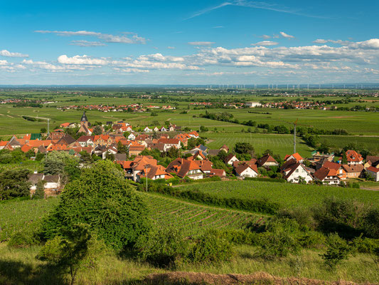 Blick auf Burrweiler