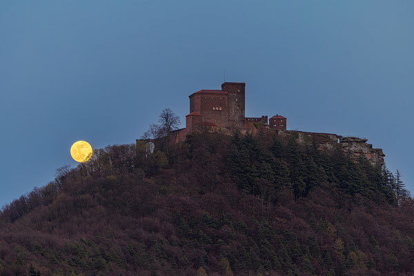 Vollmond hinter der Burg Trifels