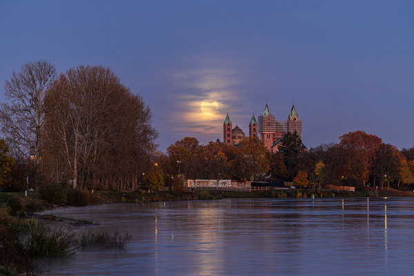 Vollmonduntergang Speyerer Dom
