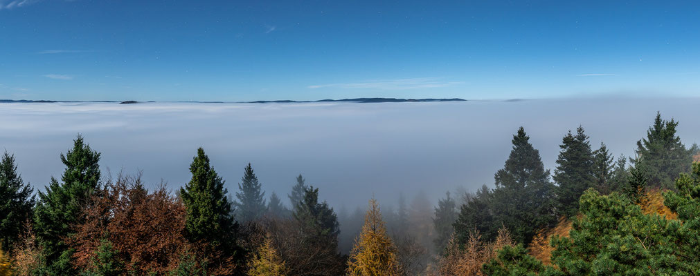Nebelmeer um den Rehbergturm