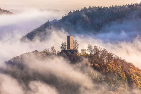 Nebel umwabert die Ruine Münz