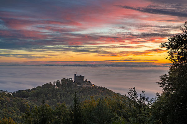 Nebliger Herbstmorgen über dem Hambacher Schloss
