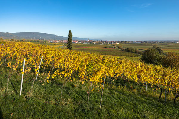 Am Sonnentempel bei Maikammer